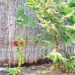 Despina's Yard 公寓 塞萨洛尼基