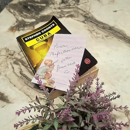 شقة Despina's Yard