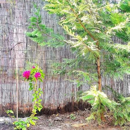 Despina's Yard شقة سالونيك