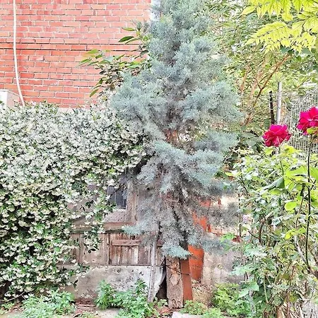 Apartmán Despina's Yard Soluň