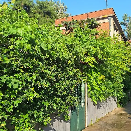 Apartmán Despina's Yard