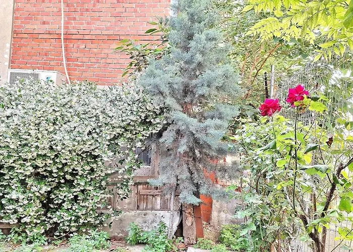 דירה Despina's Yard סלוניקי